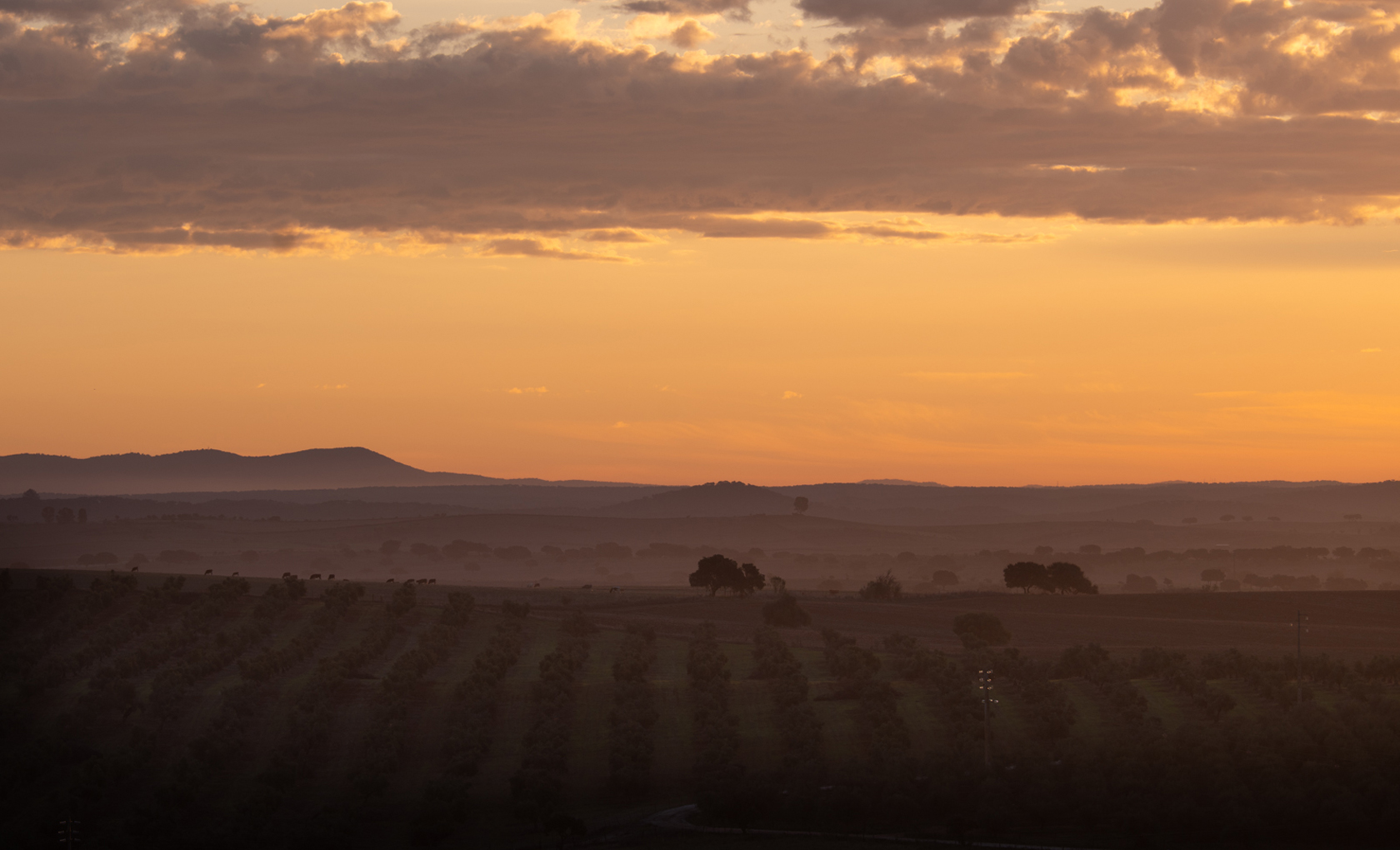 Alentejo The expression of excellence