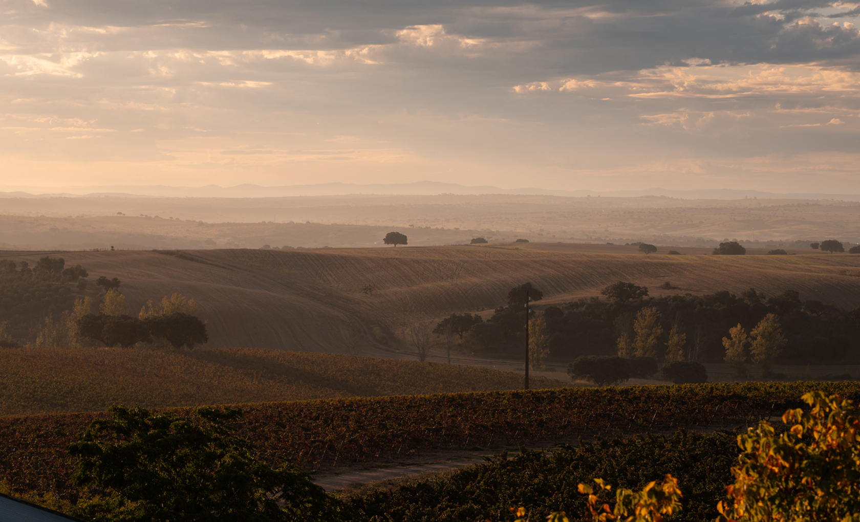 Alentejo The expression of excellence